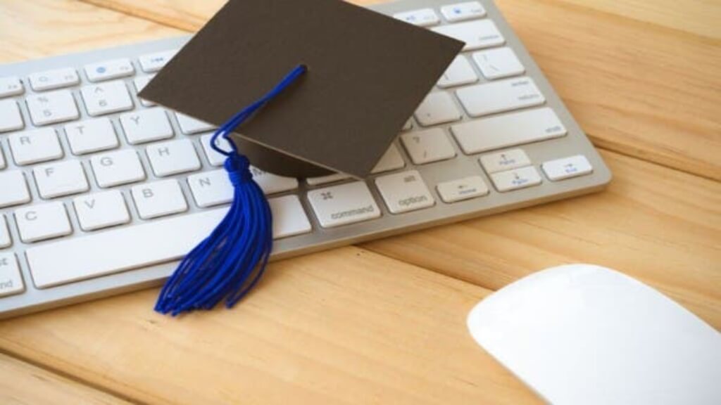 ¿Qué carreras en línea puedes estudiar en Saint Leo University?