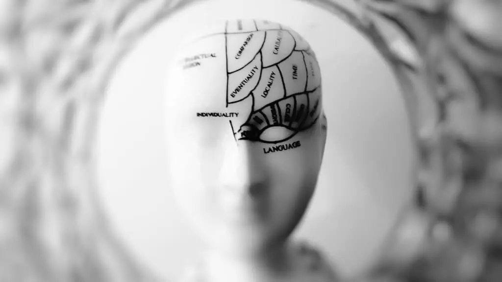 ¿De qué trata la psicología cognitiva?